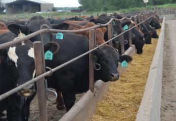 Beef production is on pace for a 3% increase.