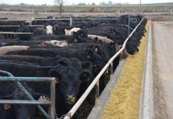 Cash fed cattle posted gains for the week.
