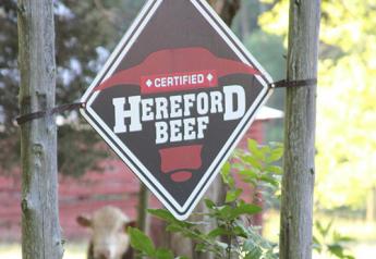 BT_Certified_Hereford_Beef