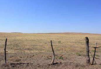 BT_Drought_Pasture_Nebraska
