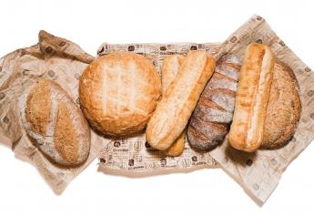 La Brea Bakery Reserve pain de Campagne loaf, Italian round, Reserve sourdough demi-baguette, Reserve Fortuna wheat loaf, Reserve French demi-baguette, and Reserve Struan loaf.