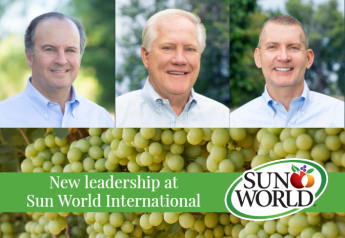 Sun World appoints Marguleas CEO, expands fruit research