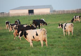 Two Holstein Bulls Supply Most Paternal Genetics