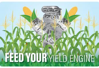 Feed Your Yield Engine