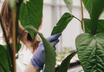 Koch Biological Solutions And Plant Response Merge