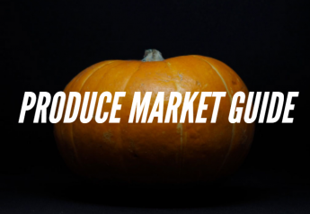 Pumpkins trending on Produce Market Guide