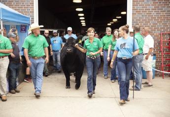 2019 Iowa Governor's Charity Steer Show