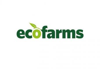 Eco Farms supports annual avocado festival