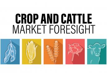 Crop and Cattle Market Foresight 