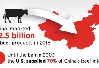 China Beef Facts