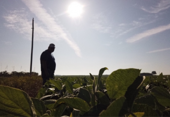Pest Pressure Bears Down On #PFTour19 Scouts