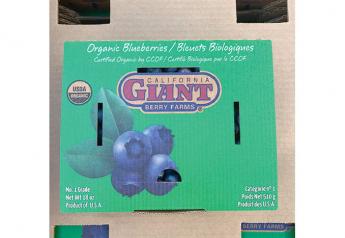 California Giant Berry Farms has introduced corrugated clamshell containers  like this 18-ouce blueberry “clamshell” for strawberries and blueberries, says Eric Valenzuela, the company’s director of food safety and sustainability. The company  sees sustainability as an extension of the firm’s effort to give back to the community