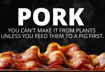 New Pork Ads Turn Heads in Des Moines International Airport