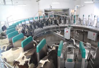 Dairy Herd Size Has Tremendous Impact on Costs