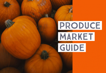 Autumn fruits and vegetables on Produce Market Guide