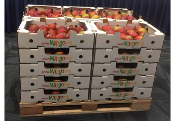 National Mango Board offers packaging seminar