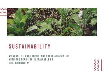 Key values for sustainable development