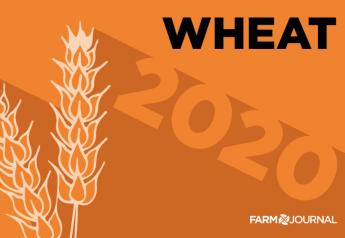 For the past two years, wheat acres have dipped to a 100-year low. For 2020, acres could challenge the 110-year low. 