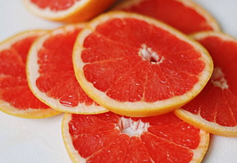 Major Florida grapefruit planting announced