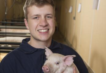 Can the Small Pig Farmer Thrive in the Future?