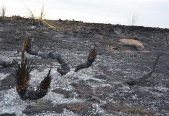 Fires ripped across parts of Texas, Oklahoma, Colorado and Kansas last week, leaving destruction in their path.
