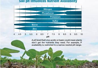 A pH level that’s too acidic or basic could mean plants don’t get the nutrients they need. For example, P availability is restricted to a narrow neutral pH range.