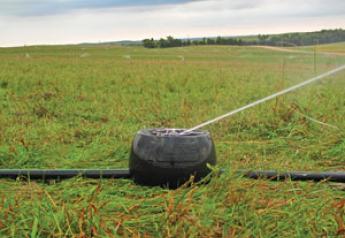 Mini Irrigation System Manages runoff