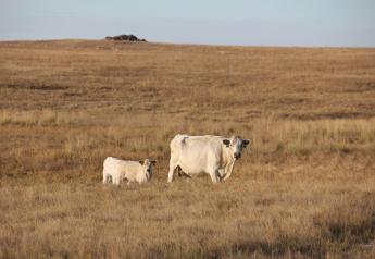reduced forage due to drought in North Dakota