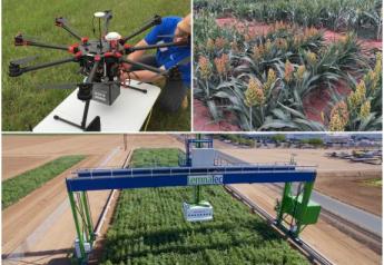 Trials get the high tech treatment with the world’s largest robotic field scanner is operational at the University of Arizona's Maricopa Agricultural Center (MAC).