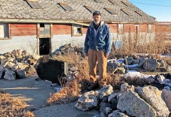 Eyes to the ground, producer Terry Springer has amassed a collection of ice age bones, teeth, petrified wood, stone tools and a host of unidentified geological specimens.
