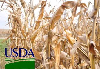 USDA-corn-harvest-time