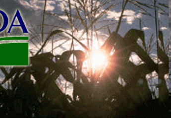 USDA corn sunset