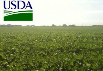 USDA-soybean-field-sunshine