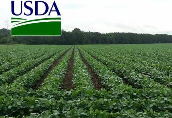 USDA-soybean-field