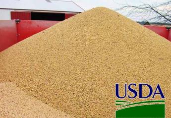 USDA-soybean-pile2