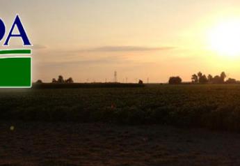 USDA soybean sunrise