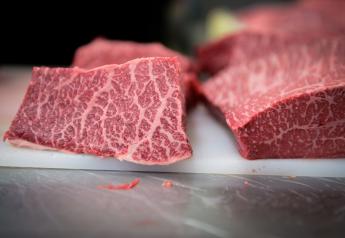 Marbling of the Kampo Wagyu beef.