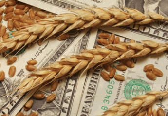 Wheat Dollars