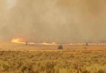 Wildfire_Idaho