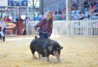 A girl shows her pig at World Pork Expo's Junior National Show.