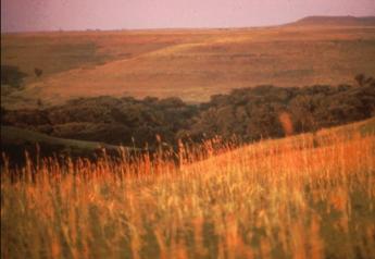 Big bluestem is a dominant prairie grass across the Plains.