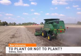 A Comprehensive Look: Should Farmers Use Prevent Plant or Plant?