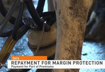 Dairy Margin Protection Program Repayment Options Available