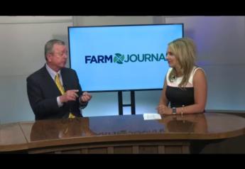 Watch the video above with Andy Bishop, director of farm services at AgTech Scientific, to learn about the potential of hemp in Kentucky.  