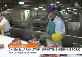 China and Japan Ban Pork Imports from Germany