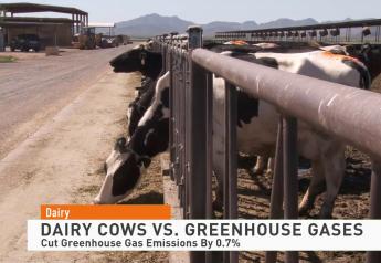 Dairy Report: Dairy Cows vs. Greenhouse Gases