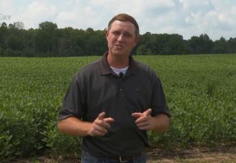 Soybeans Have a Long Way to Go in South Dakota