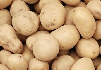 Search Warrants for Potato Pest Ordered at Idaho Farms