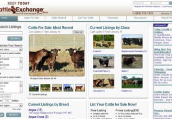 cattle-exchange