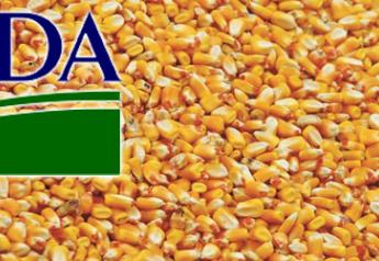 corn USDA